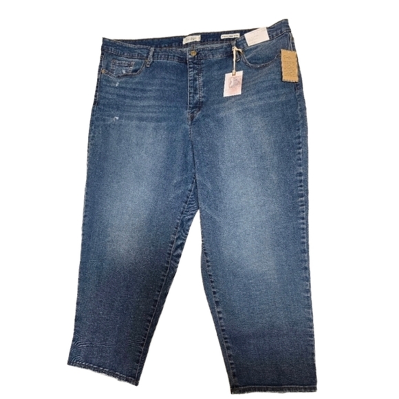 Jessica Simpson Denim - Jessica Simpson Throwback Vintage Straight Jeans 24W NWT Plus
